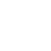 安币app苹果版